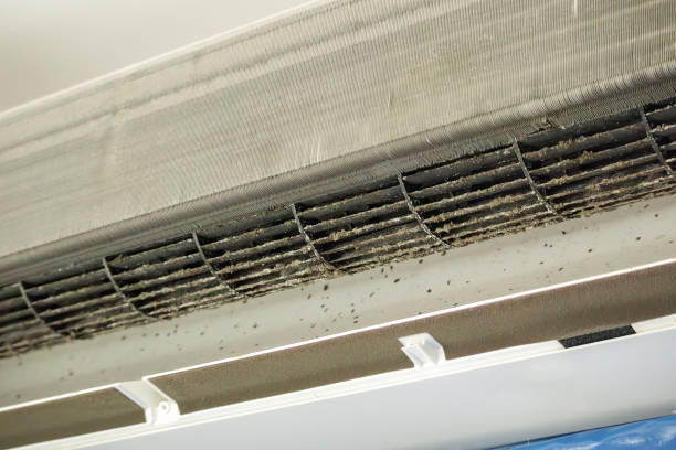 Best Affordable Air Duct Cleaning  in Sixteen Mile Stand, OH